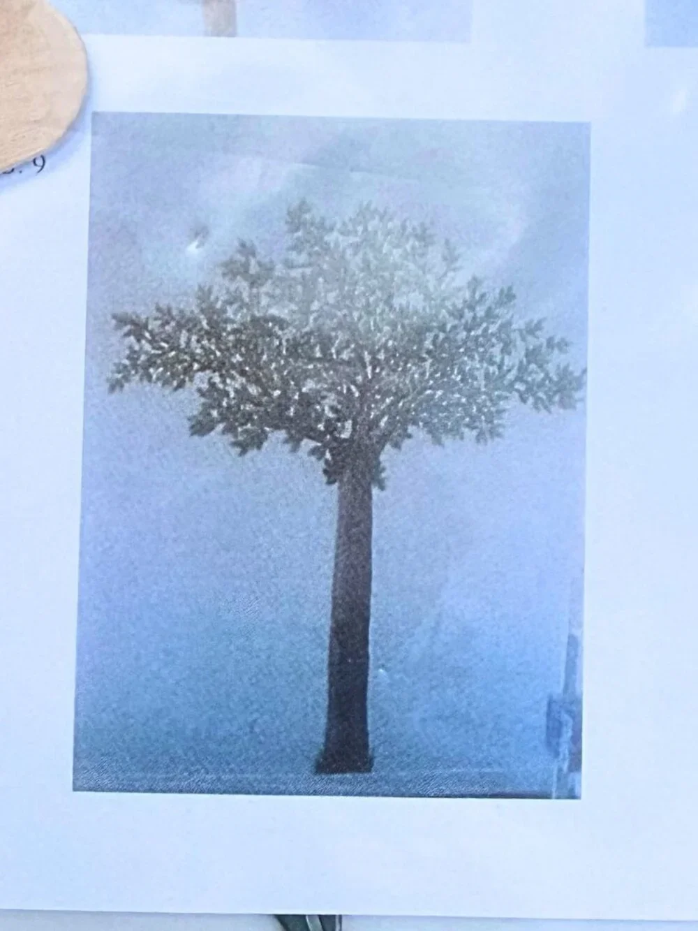 Vintage Tatouage Transfer Rub Designs Carolyn Yovan Apple Magnolia Tree 6 Feet